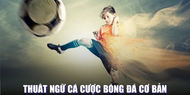 Thuật ngữ cơ bản trong cá cược bóng đá cần nắm