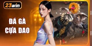 Đá Gà Cựa Dao | Phát Sóng 200 Trận Kịch Tính Chuẩn 4K