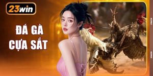 Đá Gà Cựa Sắt | Trải Nghiệm 500+ Pha Đòn Sắc Bén Cực Nét